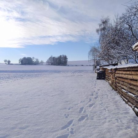 Podkrovni Apartman Pololan U Rybnika Nová Ves エクステリア 写真