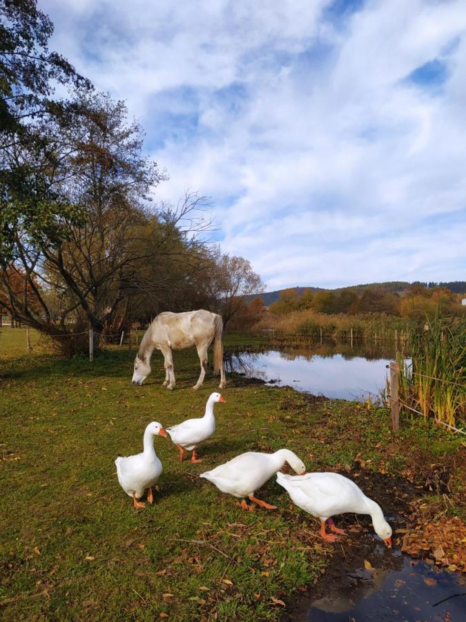 Podkrovni Apartman Pololan U Rybnika Nová Ves エクステリア 写真