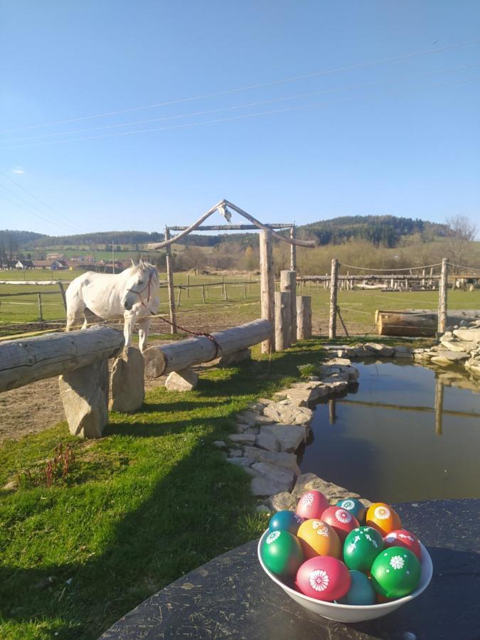 Podkrovni Apartman Pololan U Rybnika Nová Ves エクステリア 写真